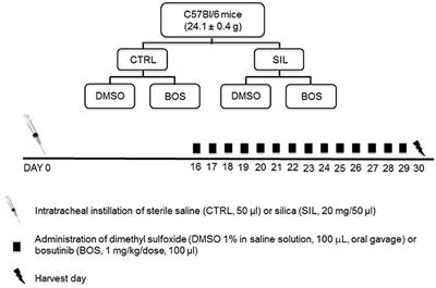 Bosutinib Therapy Ameliorates Lung Inflammation and Fibrosis in Experimental Silicosis